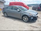 2019 Hyundai Sonata Sel Gray vin: 5NPE34AF6KH755330