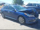 2016 Hyundai Sonata Sport Blue vin: 5NPE34AF7GH395007