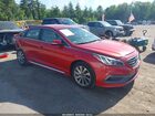 2017 Hyundai Sonata Sport Red vin: 5NPE34AF7HH519116