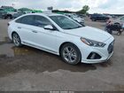 2019 Hyundai Sonata Sport White vin: 5NPE34AF7KH743879