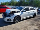 2019 Hyundai Sonata Sel White vin: 5NPE34AF7KH803921