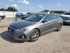 2019 Hyundai Sonata Limited Gray vin: 5NPE34AF7KH821819