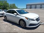 2016 Hyundai Sonata Sport Белый vin: 5NPE34AFXGH283916