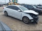 2017 Hyundai Sonata Sport White vin: 5NPE34AFXHH582890