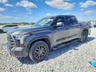 2023 Toyota Tundra Platinum Gray vin: 5TFNA5DB3PX127631