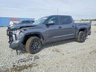 2024 Toyota Tundra Platinum Gray vin: 5TFNA5DB5RX194136