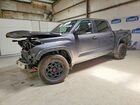 2024 Toyota Tundra Trd Pro Hv Gray vin: 5TFPC5DB4RX083371