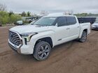 2023 Toyota Tundra Capstone Hv White vin: 5TFVC5DB6PX014539