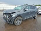 2024 Kia Sportage Ex Gray vin: 5XYK3CDF3RG222622