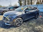 2024 Kia Sportage Ex Gray vin: 5XYK3CDF7RG147004