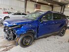 2024 Kia Sportage X Line Blue vin: 5XYK6CDF4RG232910