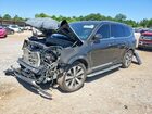 2020 Kia Telluride Ex Brown vin: 5XYP34HC3LG066634