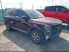 2020 Kia Telluride Ex Purple vin: 5XYP34HC4LG001324