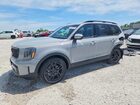 2025 Kia Telluride Ex X-line Silver vin: 5XYP3DGC3SG733007