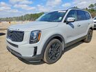 2021 Kia Telluride Ex Blue vin: 5XYP3DHC3MG140961