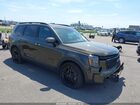 2024 Kia Telluride Sx Prestige X-line Зеленый vin: 5XYP5DGC0RG537899