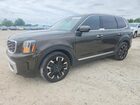 2024 Kia Telluride Sx-prestige Green vin: 5XYP5DGC1RG530637