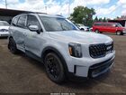2024 Kia Telluride Sx X-line Gray vin: 5XYP5DGC2RG565008