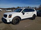 2025 Kia Telluride Sx White vin: 5XYP5DGC2SG618862