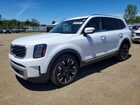 2024 Kia Telluride Sx White vin: 5XYP5DGC6RG551211