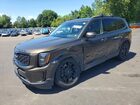 2022 Kia Telluride Sx Green vin: 5XYP5DHC0NG315534