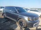 2024 Kia Telluride S Gray vin: 5XYP6DGC6RG562173