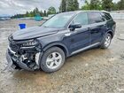 2023 Kia Sorento Lx Black vin: 5XYRG4LC4PG201372