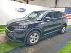 2023 Kia Sorento Lx Black vin: 5XYRGDLC0PG183906