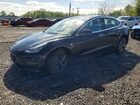 2019 Tesla Model 3 Black vin: 5YJ3E1EB6KF384983