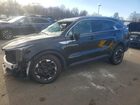 2024 Kia Sorento S Black vin: 5XYRLDJC6RG274972