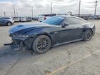 2024 Ford Mustang Gt Black vin: 1FA6P8CF7R5405718