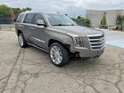 2019 Cadillac Escalade Platinum Gray vin: 1GYS3DKJ7KR173584