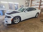 2019 Dodge Charger Sxt White vin: 2C3CDXBG3KH741945