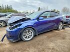 2024 Tesla Model Y Синий vin: 7SAYGAEE8RF009667
