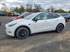 2025 Tesla Model Y Белый vin: 7SAYGDED0SF281595