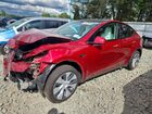 2024 Tesla Model Y Красный vin: 7SAYGDEDXRF046387