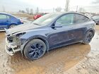 2025 Tesla Model Y Gray vin: 7SAYGDEE0SF267866