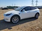 2023 Tesla Model Y White vin: 7SAYGDEE1PF792748