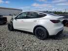 2023 Tesla Model Y White vin: 7SAYGDEE2PA052350