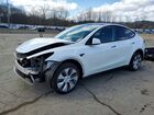 2023 Tesla Model Y White vin: 7SAYGDEE4PA120311