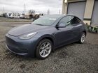 2023 Tesla Model Y Gray vin: 7SAYGDEE4PF889801