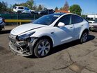 2023 Tesla Model Y White vin: 7SAYGDEE9PF840139