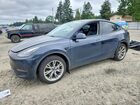 2024 Tesla Model Y Blue vin: 7SAYGDEEXRF074411