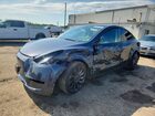 2025 Tesla Model Y Gray vin: 7SAYGDEF7SA350930