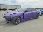 2019 Dodge Charger Scat Pack Фиолетовый vin: 2C3CDXGJ1KH661919