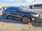 2020 Kia Optima Ex Black vin: 5XXGU4L13LG399519