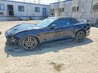 2019 Ford Mustang Black vin: 1FATP8UH8K5162428