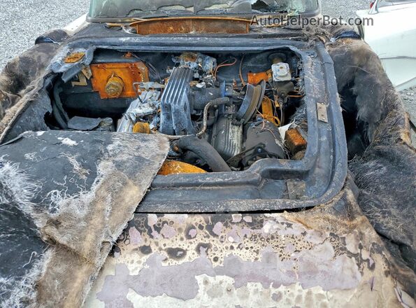 E57S105422 1957 CHEVROLET CORVETTE Белый Вид задней части салона