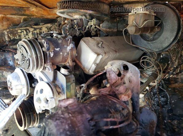 F14HRBG2624 1978 FORD F150 Burn Vista interior trasera