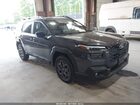 JF2BUPAD1TY459021